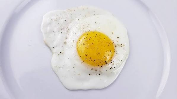 Egg